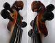 1930 Fine Old German Lionhead Violin -video- Vintage Antique Violino