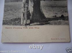 ANTIQUE VINTAGE OLD PHOTO POSTCARD ABORIGINAL MEN MAN CLIMBING TREE and CHILD