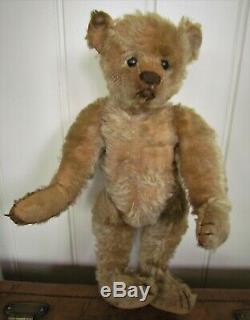 Antique Old Mohair Steiff Teddy Bear 12 Inches, Buzz