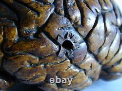 Old Antique Anatomical Model of a Human Brain Circa 18th Century, One of a Kind