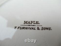 RARE Antique T FURNIVAL & Sons MAPLE BEAVER MAPLE LEAF 10 SOUP Plate VERY OLD