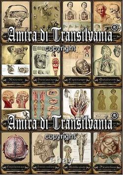 Tarot old medicine vintage anatomy surgery apothecary human medical antique maps