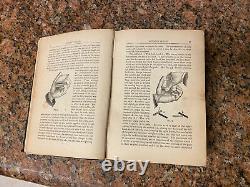 Vintage Old Antique Modern Magic Art of Conjuring Trick Witch Book Hoffmann