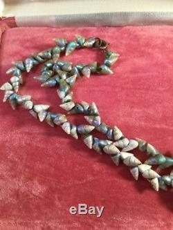 Collier De Coquillages De Mer Vintage Antique Autochtone Tasmanian Maireener