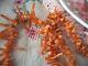 Collier De Corail De Branche Authentique Victorien Ancien Vintage Antique