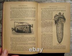 Cuisine d'époque de 1890 : Ancien livre de recettes antique pour une décoration d'aiguille de cuisine vintage et des travaux manuels d'arts domestiques anciens