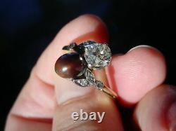 Rare Ancienne Perle Quahog Et Ancienne Bague Diamantée Coupée Au Début Du Xxe Siècle