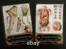 Tarot Vieille Médecine Millésime Anatomie Chirurgie Apothicaire Antique Cartes Médicales Humaines