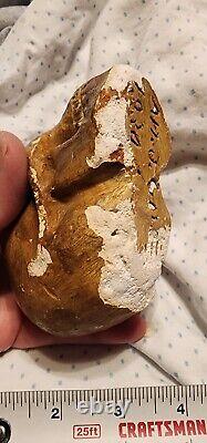 Très vieille antiquité crâne en plâtre vintage possiblement fait à la main signé Art J Cove 1930