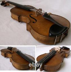 Violine Violine 1940 Voir Violino Violino Violino Maître 791